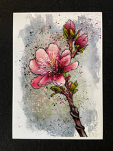 Load image into Gallery viewer, Cherry Blossom - Illustration
