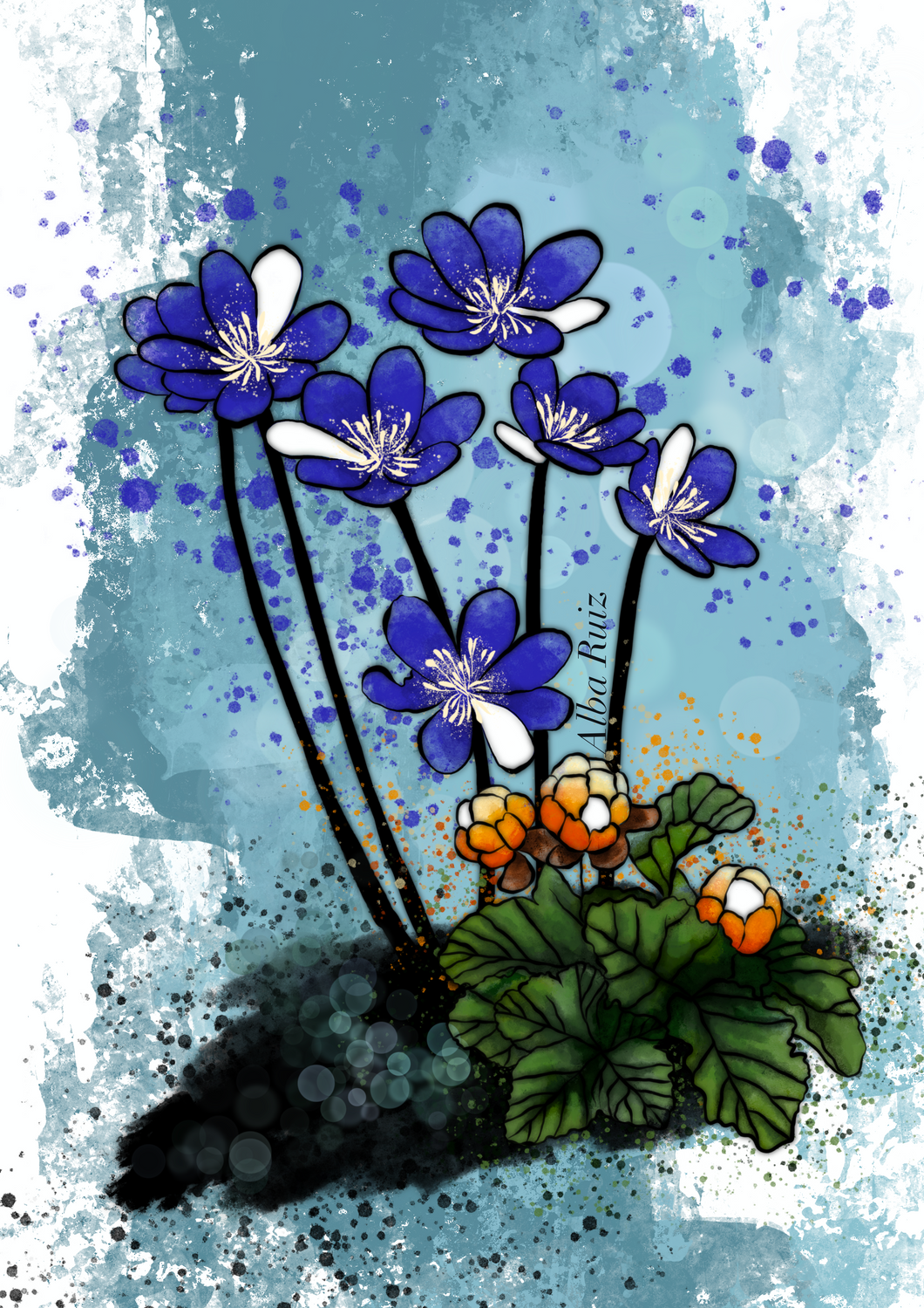 Blåveis Norwegian Flowers and Cloudberries - Illustration
